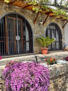 VILLA ELI