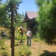 Ivy Coffee Farm - Green Cottage