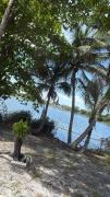Top Miami Gardens