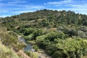 Top Tavira