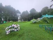 Top Dalhousie