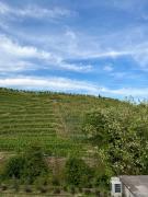 Top Valdobbiadene