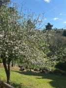 Top Rigoli Top Rigoli