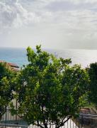 Top Camerota