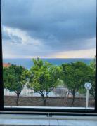 Top Camerota