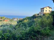 Top Imperia
