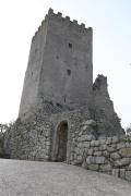 Top Arpino
