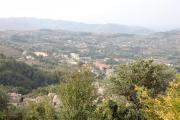 Top Arpino