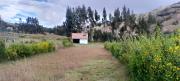 Top Tayapampa