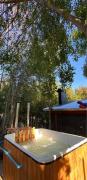 Top Chillán