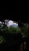 Ruộng coffee and homestay