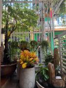 Le Haus