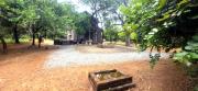 Top Marloth Park