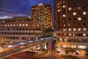 Top Bellevue