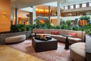 Top Bellevue