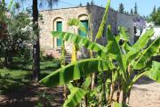Top Gallipoli