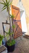 Top Chateauneuf Villevieille