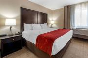 Top Highlands Ranch Top Highlands Ranch