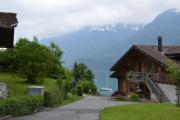 Top Ringgenberg