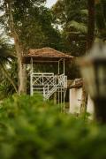Top Alleppey