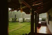 Top Alleppey
