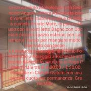 Top Cipollina