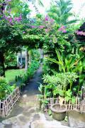 Top Gili Air