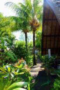 Top Gili Air