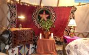 Picturesque Yurt near San Francisco Incredible for a Unique Glamping Experience