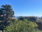 Top Cassis