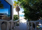 Top San Felipe Top San Felipe