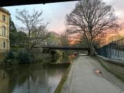 Top Saltaire