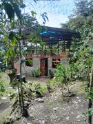 Top Sahuayacu