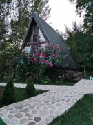 Top Vărbilău