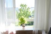 Top Aschheim