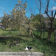 Top Cozieni