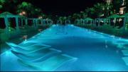 dreamland oasis 14-308