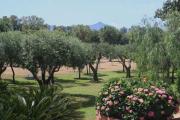 Top Borgo Montenero
