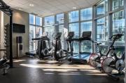 Top Montreal