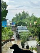 Top Gurgaon
