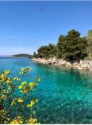 Top Milna