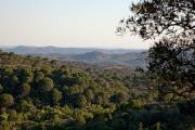 Top Cazalla de la Sierra