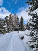 Top Crans-Montana