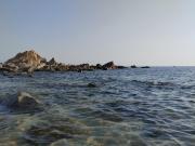 Top Zaccanopoli