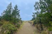 Top Copalis Beach