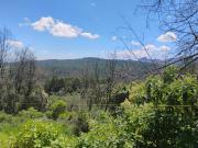 Top Mineral del Monte