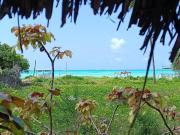 Green view Bungalows