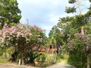 Top Phu Quoc