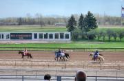 Top Canandaigua