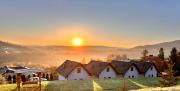 Top Solina